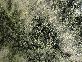 Green Bovenite