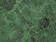 Verde Imperiale