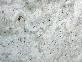 Andromeda White