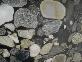 Black Mosaic