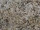 Aran Cream
