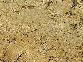 Golden Beach