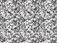 Aran Grey