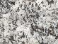 Aran White