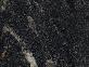 Black Cosmic
